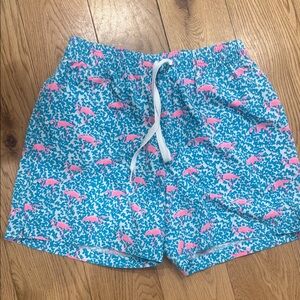 Men’s Chubbies Blue and Pink Patterned Swim Shorts Size Medium Inseam 5.5  NWOT